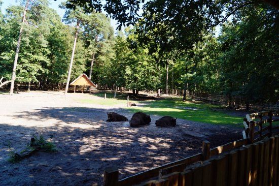 Molo w Międzyzdrojach